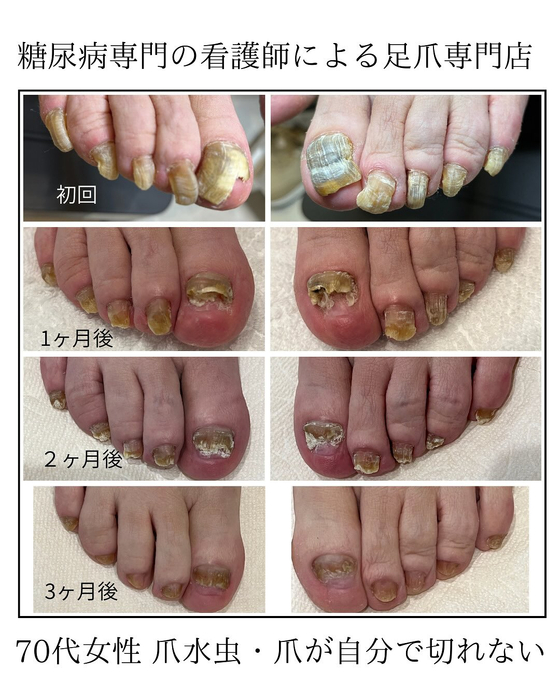 画像263