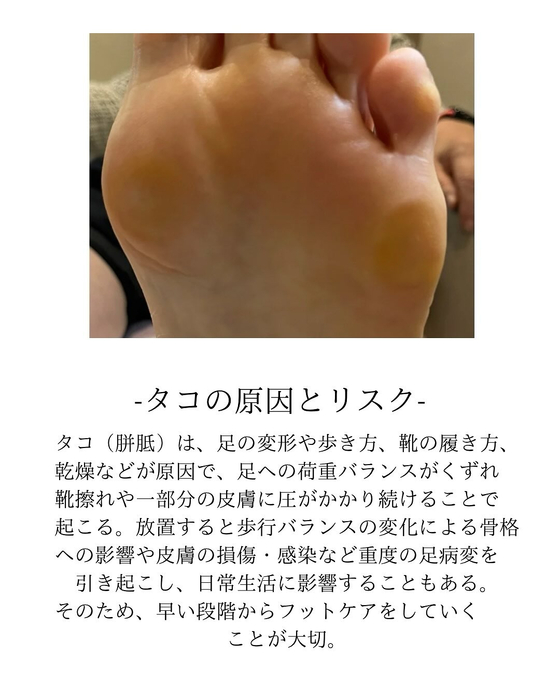 画像277