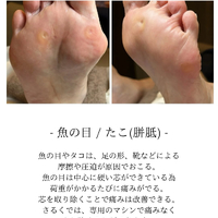 画像294