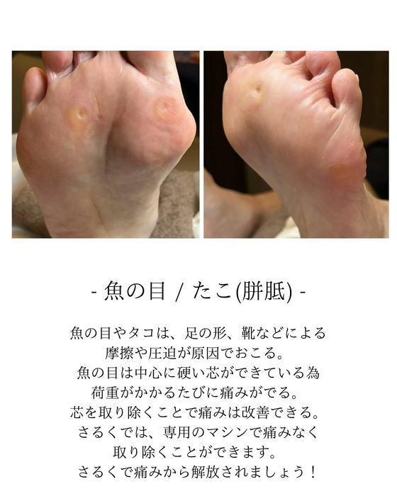 画像294