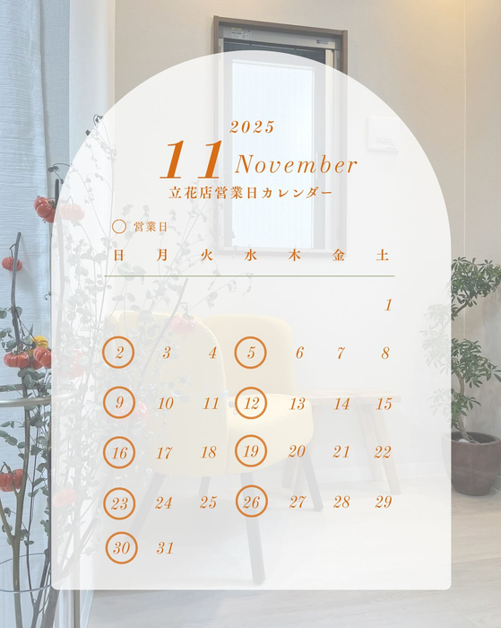 画像317