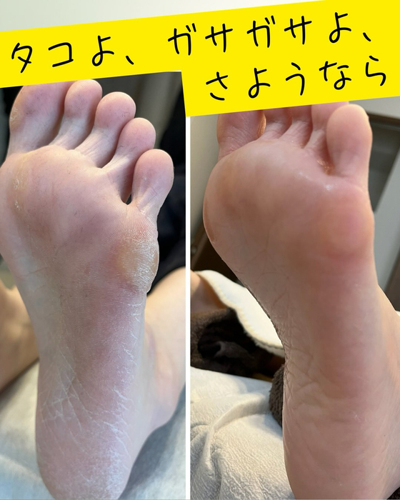 画像334