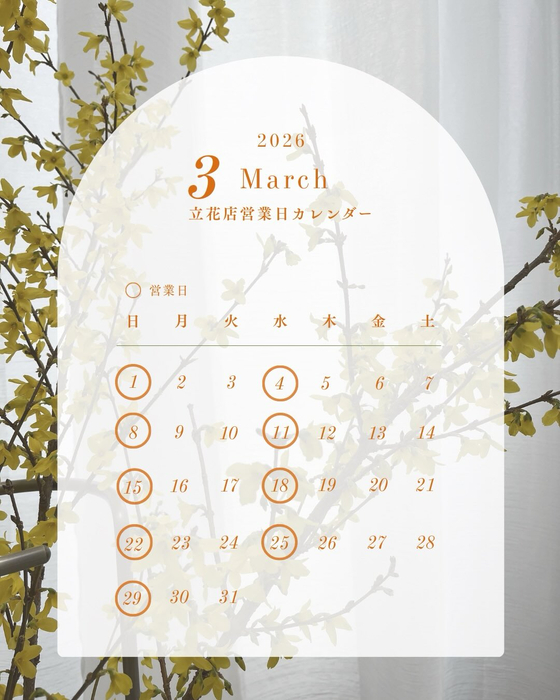 画像346