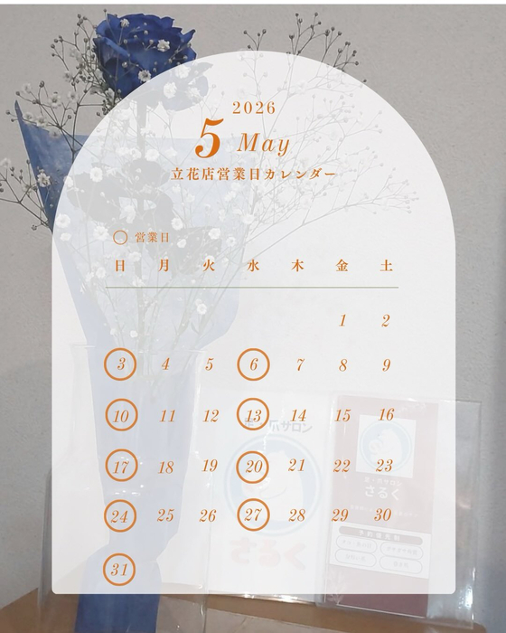 画像355