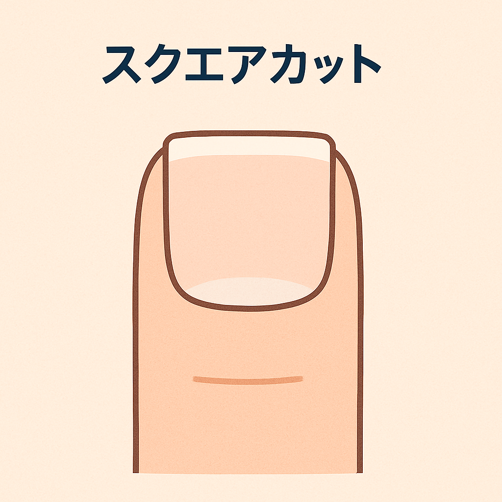 スクエアカットの指