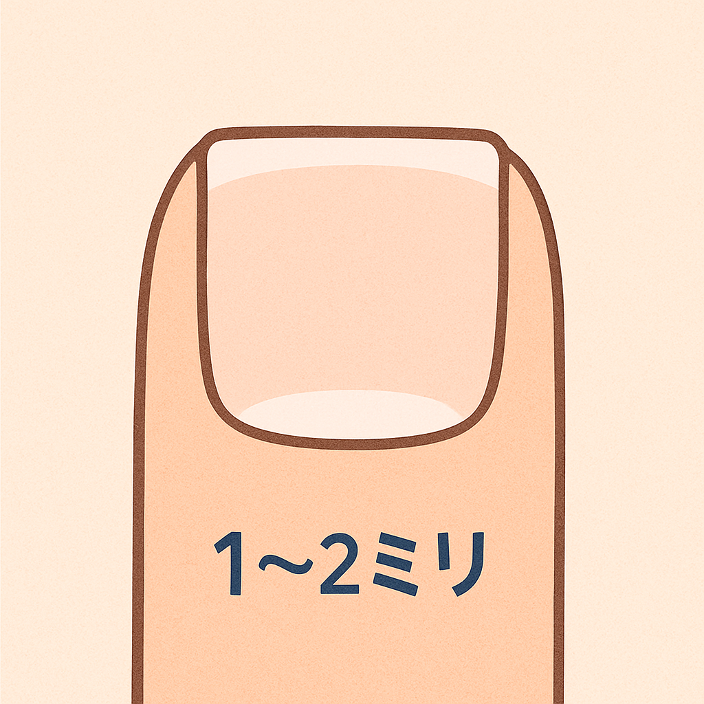 爪の長さガイド